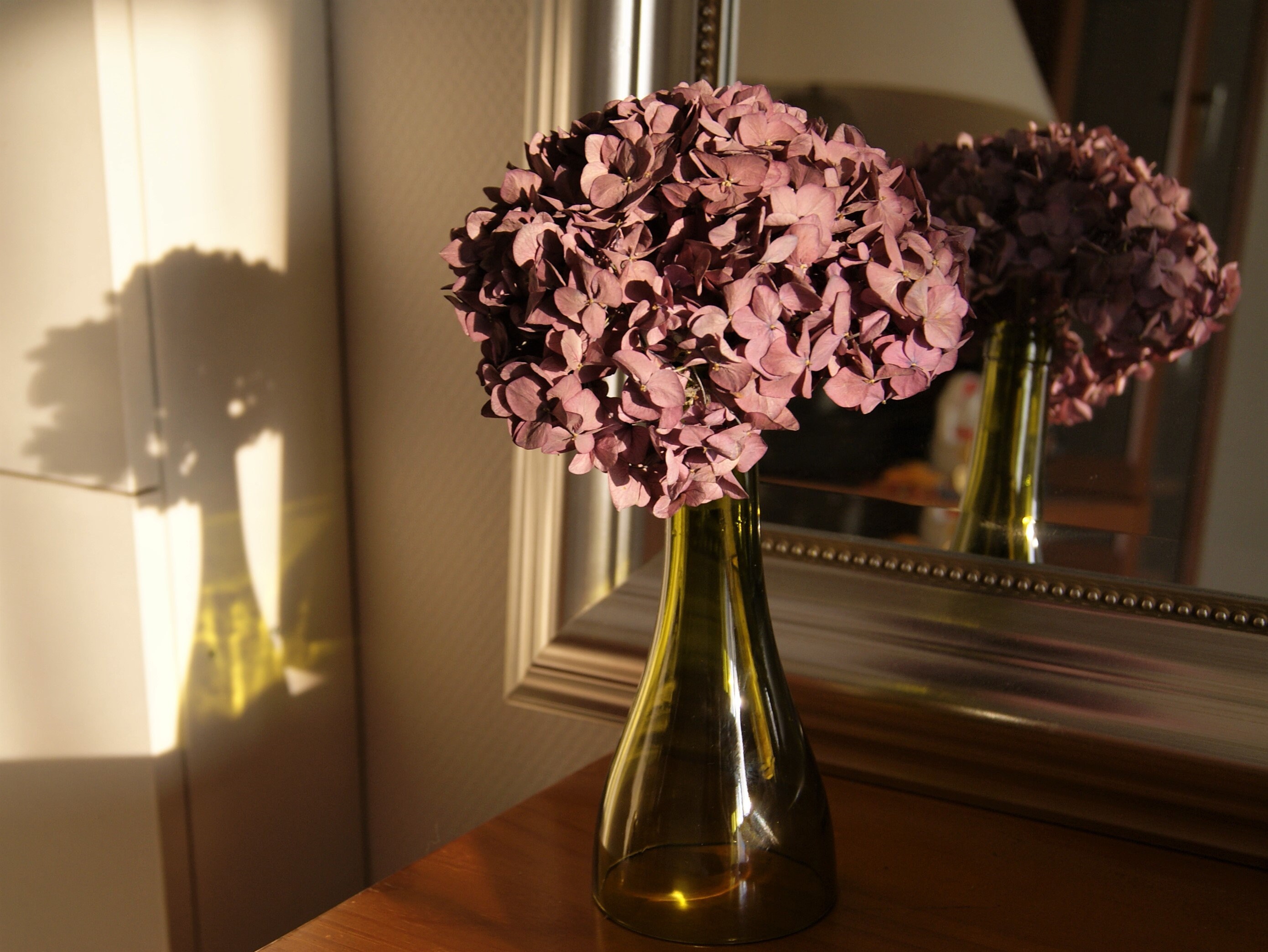 Vase Bouteille de Vin et Son Hortensia Séchée