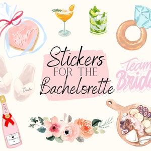 Pegatinas para la despedida de soltera, paquete de pegatinas, favor de fiesta, regalo de compromiso, damas de honor, regalo femenino, fiesta de compromiso, fiesta nupcial
