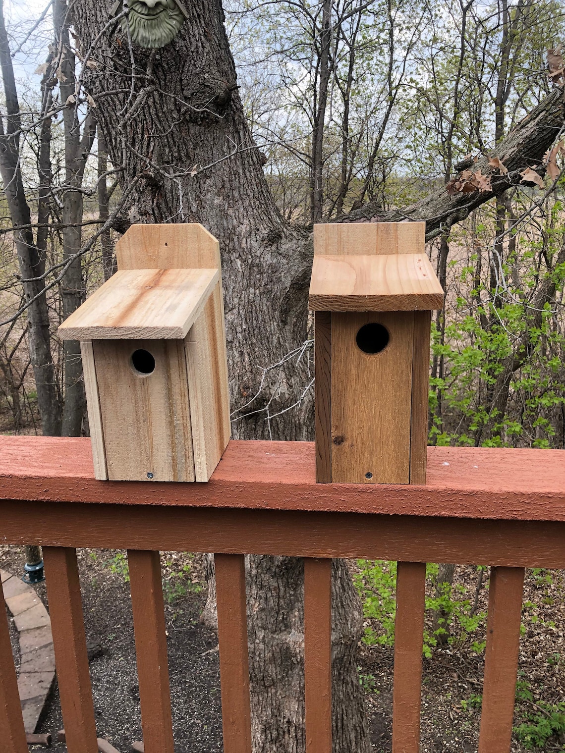 Bluebird House Tree Swallow Birdhouse Cedar Birdhouse Etsy