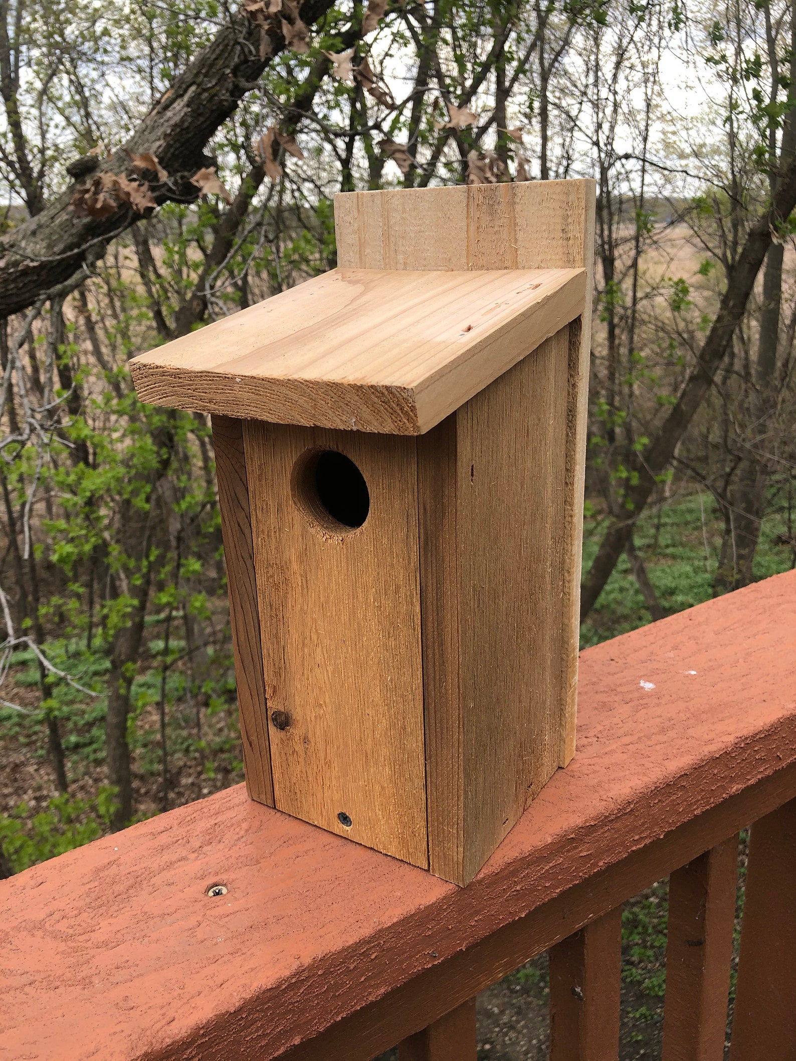 Bluebird House Tree Swallow Birdhouse Cedar Birdhouse Etsy
