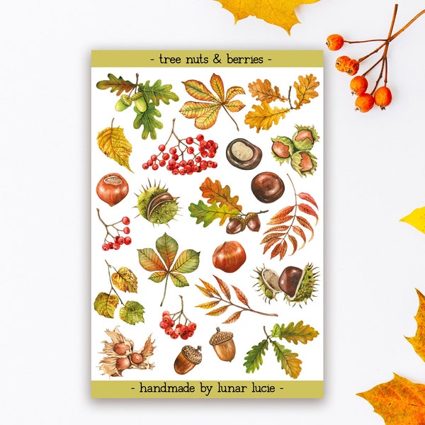 Tree Nuts and Berries Sticker Sheet | Autumn Fall Aesthetic Stickers for Journal, Planner & Scrapbooks | Acorn, Conker, Hazelnut Stickers