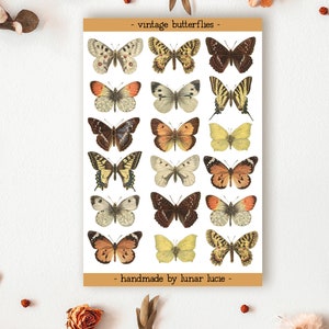 3D Butterfly Stickers Cake Party Wall Decorations Butterfly 