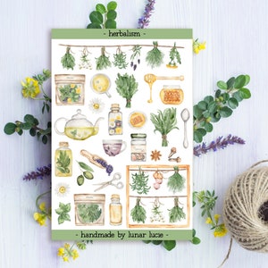 Herbalism Sticker Sheet | Herbal Apothecary Stickers | Herbalist Stickers | Witchy Book of Shadows Grimoire Stickers | Green Witch Stickers