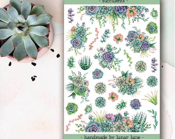 Succulent Deco Planner Sticker Sheet | Plant Stickers | Cactus Stickers ...