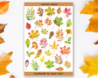 Autumnal Leaves Sticker Sheet | Fall Leaves Stickers | Autumn Stickers | Fall Stickers | Autumn Fall Deco Planner Stickers | Leaf Stickers