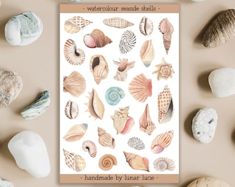 Seaside Shells Sticker Sheet | Watercolour Sea Shell Stickers | Ocean Beach Sticker Sheet for a Planner, Bullet Journal & Scrapbook