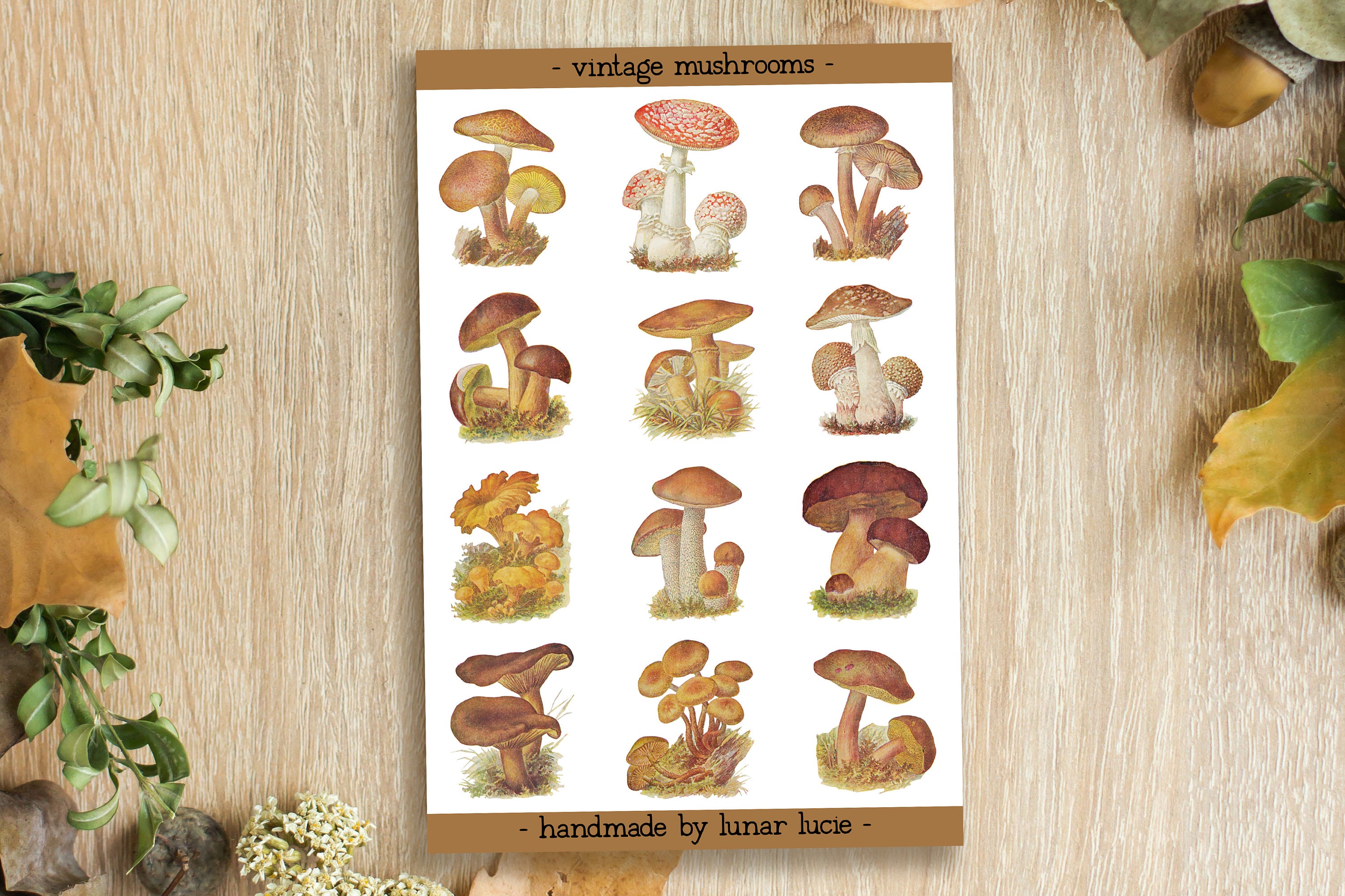nostalgic characters sticker-collecting book – medium mushroom