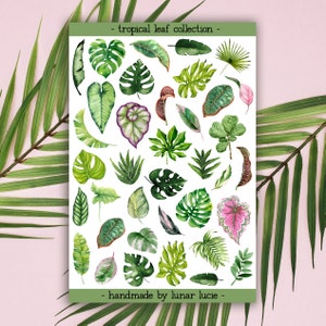 Tropical Plant Leaf Sticker Sheet Tropical Plants Stickers Plant Decor Planner Stickers House Plant Lover Gift image 2