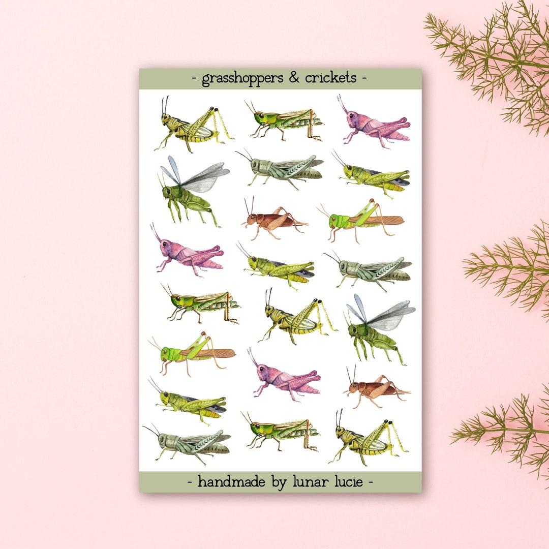 and Crickets Sticker Sheet Insect Sticker Sheet