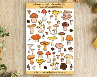 Mushroom Assortment Sticker Sheet (Hand Drawn Doodle Collection) - Mushroom Fungi Toadstool Planner Stickers - Cute Kawaii Mushrooms