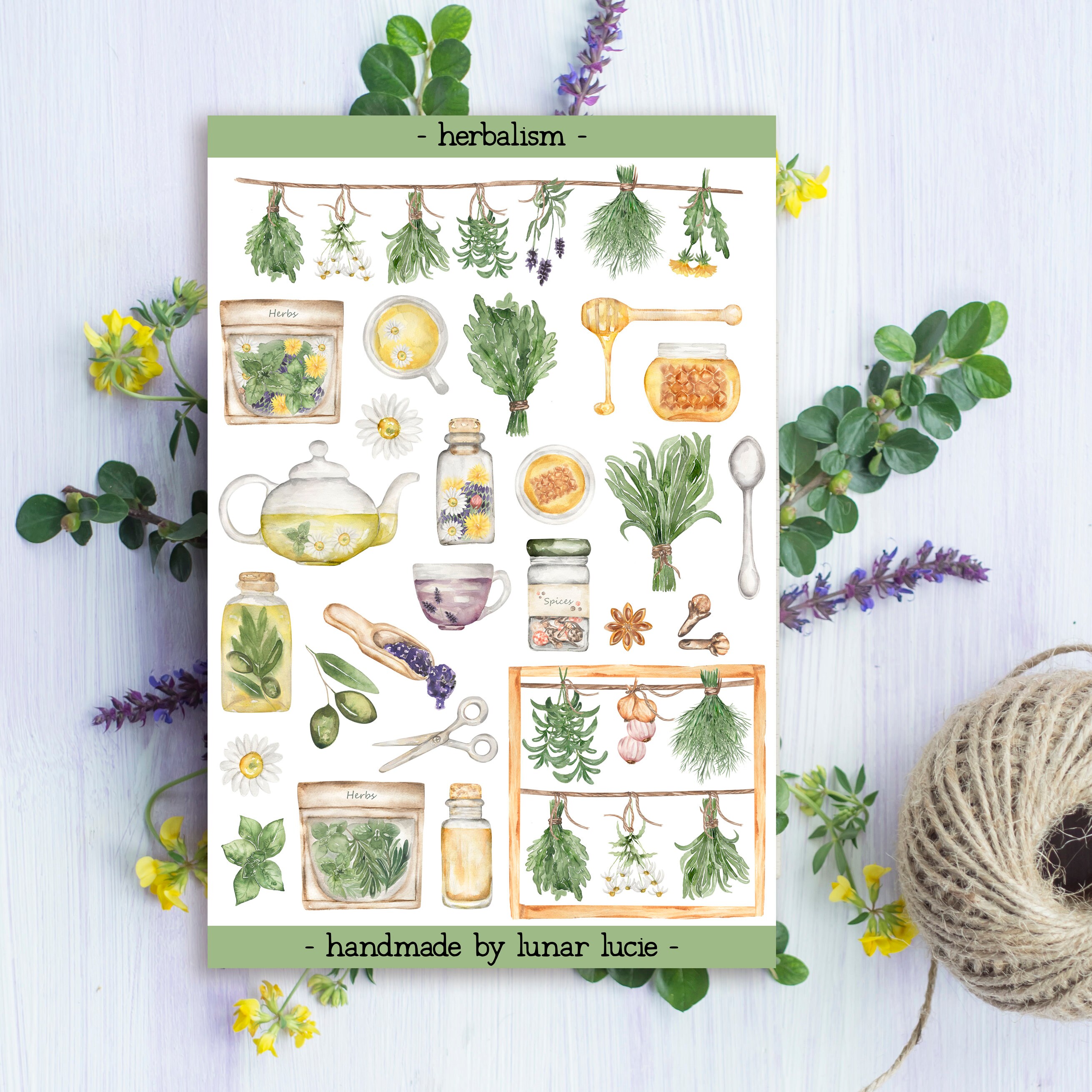 Herbalism Sticker Sheet Herbal Apothecary Stickers Etsy UK