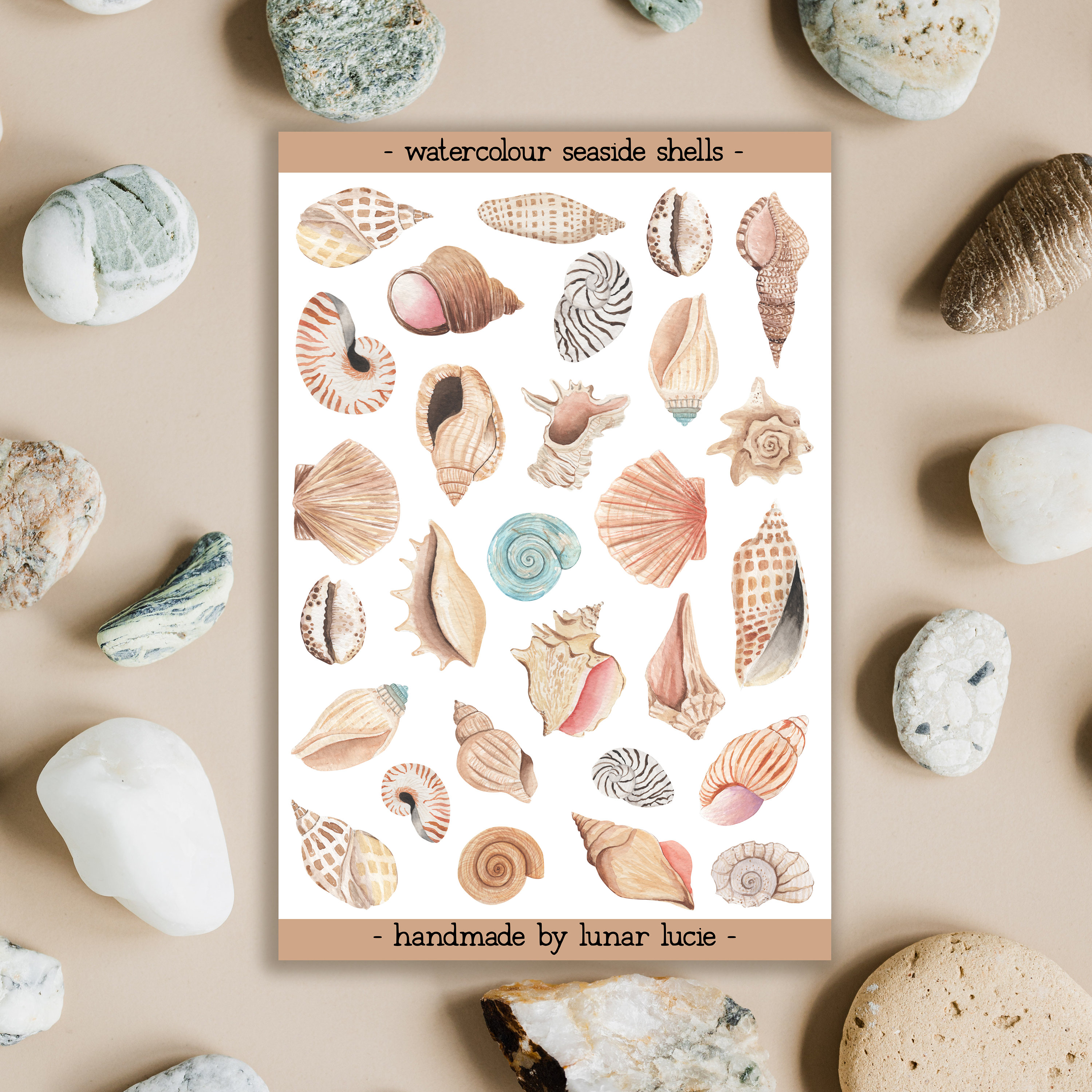 Seaside Shells Sticker Sheet Watercolour Sea Shell Stickers | Etsy