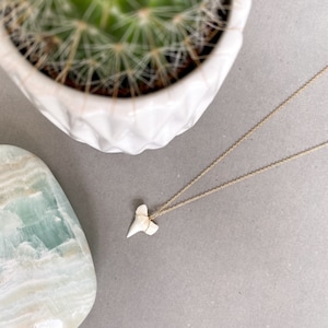 Shark Tooth Pendant Necklace