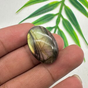 Multi Labradorite Cabochon: Oval Spectrolite Gemstone, 20.25 Cts
