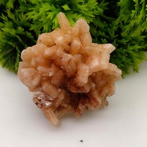 Raw Apophyllite Crystal | Apophyllite Crystal Rough | Apophyllite Specimen | AAA High Quality Apophyllite Cluster Stone