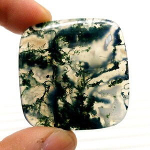 Peut inclure: Une pierre précieuse d'agate mousse de forme carrée aux coins arrondis, présentant une base blanc laiteux translucide et des inclusions dendritiques vert foncé en forme de branches rappelant le feuillage naturel des forêts.