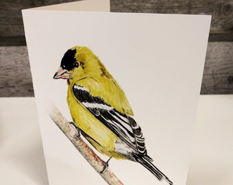 Amerikanische Goldfink, Vögel, Vogel, Malerei, Kunst, Natur, Aquarell, Aquarell, Karte, leere Karte, Muttertagskarte