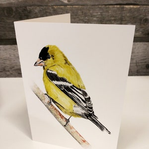 Goldfinch americano, aves, aves, pintura, arte, naturaleza, acuarela, acuarela, tarjeta, tarjeta en blanco, tarjeta del día de la madre