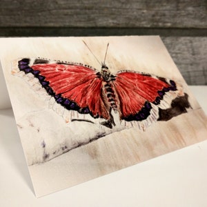 Manteau de deuil, papillon, peinture, art, nature, aquarelle, aquarelle, carte, carte blanche