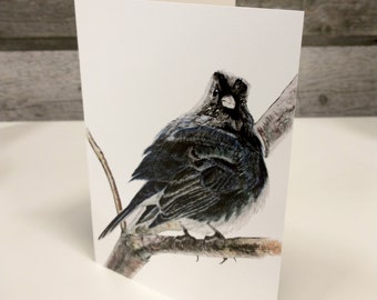 Dark Eyed Junco, bird, card, painting, art, nature, watercolour, watercolor, card, blank card, mother's day card