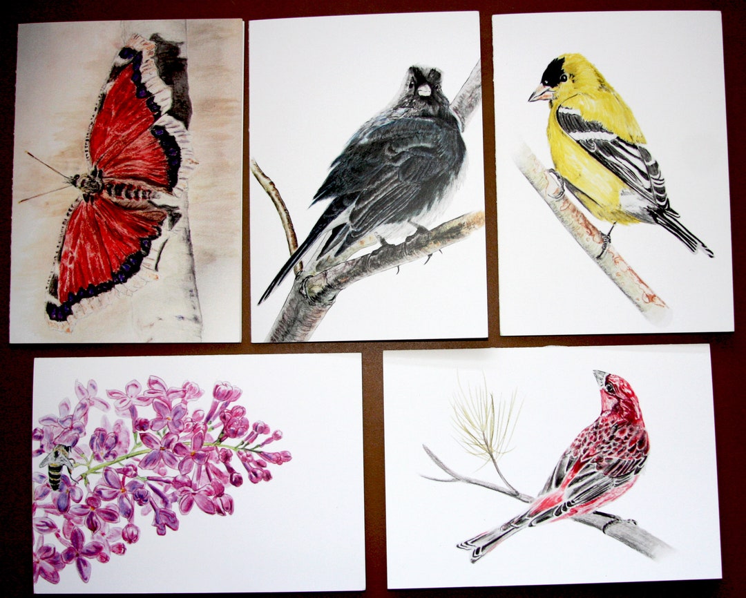 Set of 5, Birds, Bee, Butterfly, Blank Cards, Cards, Animals, Birds ...