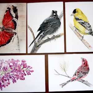 Ensemble de 5, oiseaux, abeille, papillon, cartes blanches, cartes, animaux, oiseaux, peinture, art, nature, aquarelle, aquarelle, carte, fête des mères