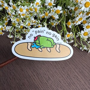 May include: A sticker featuring a cartoon frog with a red hat, crying on a brown surface. The sticker has the text "no pain no gain" in black. White daisies are in the background.