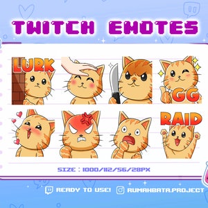 Cute Orange Cat Emote | Cute Streamer Emoji