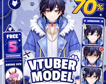 Custom VTuber Model Commission | Live2D Rigging, Anime Avatar, Twitch Streamer Asset, PNGTuber