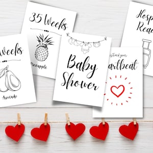 Schwangerschaft Meilensteinkarten, Wöchentliche Schwangerschaftstagebuchkarten mit Babygröße instant download