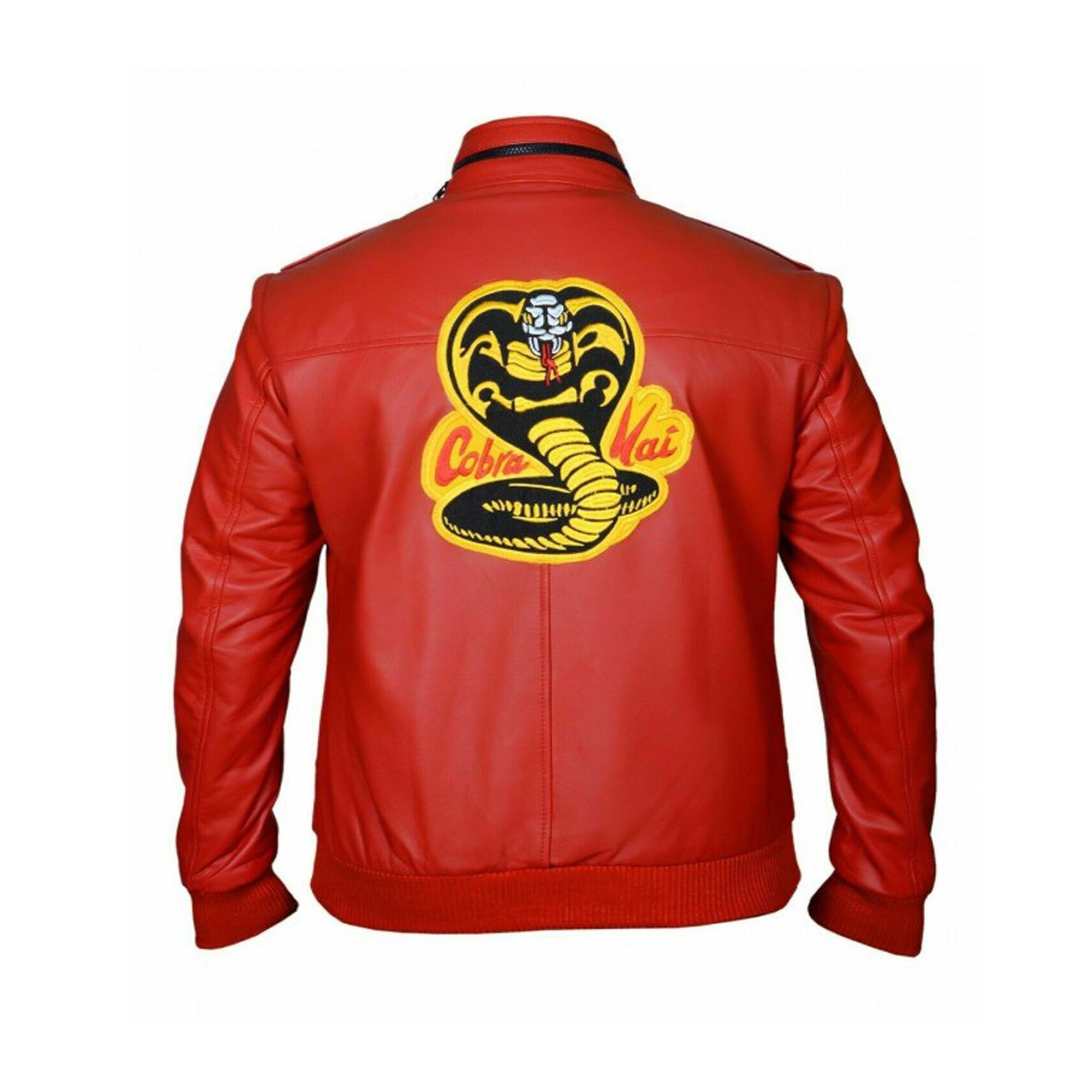 Cobra Kai the Karate Kid Johnny 