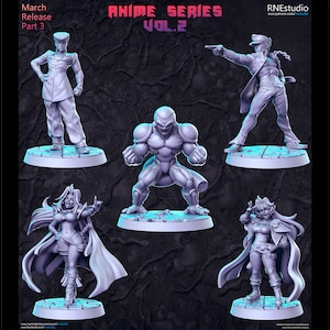 Anime Series Vol. 2 - 32mm Scale Fantasy Miniature - RN Estudio