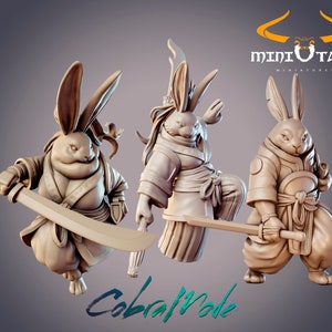 Guanghan Swordsmen - Rabbitfolk Warrior - 32mm/54mm Scale Miniature - (with DnD 5ed. Stats) - Cobramode Miniatures