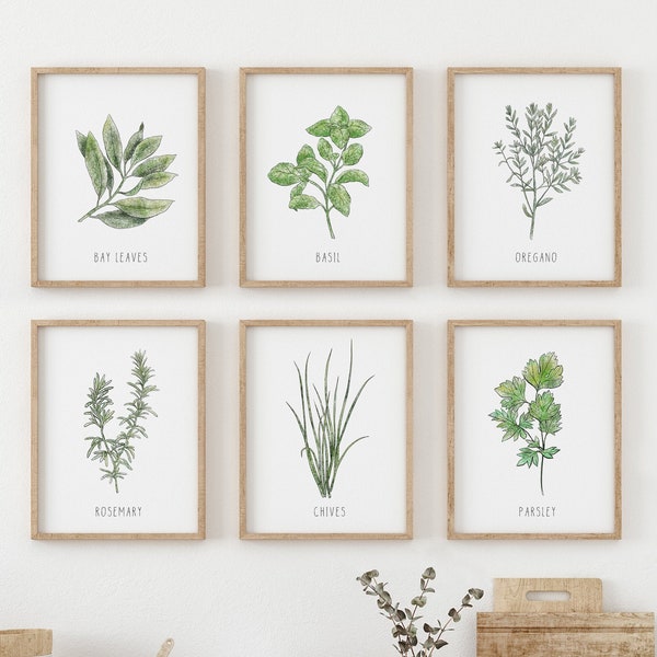 Herbes aromatiques, Ensemble de 6 illustrations imprimables, romarin, persil, laurier, sarriette, origan, ciboulette, Décoration de cuisine