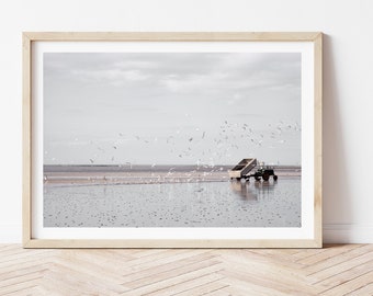 seagulls on the beach Photography Poetic Coastal Art Print Beach House Home Decor Ocean Seascape