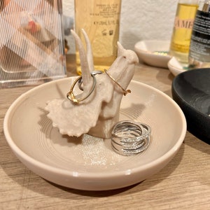 May include: A beige ceramic ring dish shaped like a dinosaur with a textured surface. The dish has a gold ring and a stack of silver rings on it.