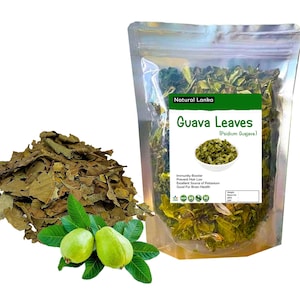 Fresh Dried Guava Leaves, 100% Organic Cut & Shifted Guava leaf, Psidium Guajava Leaf, Natural Pure Guava Leaves
