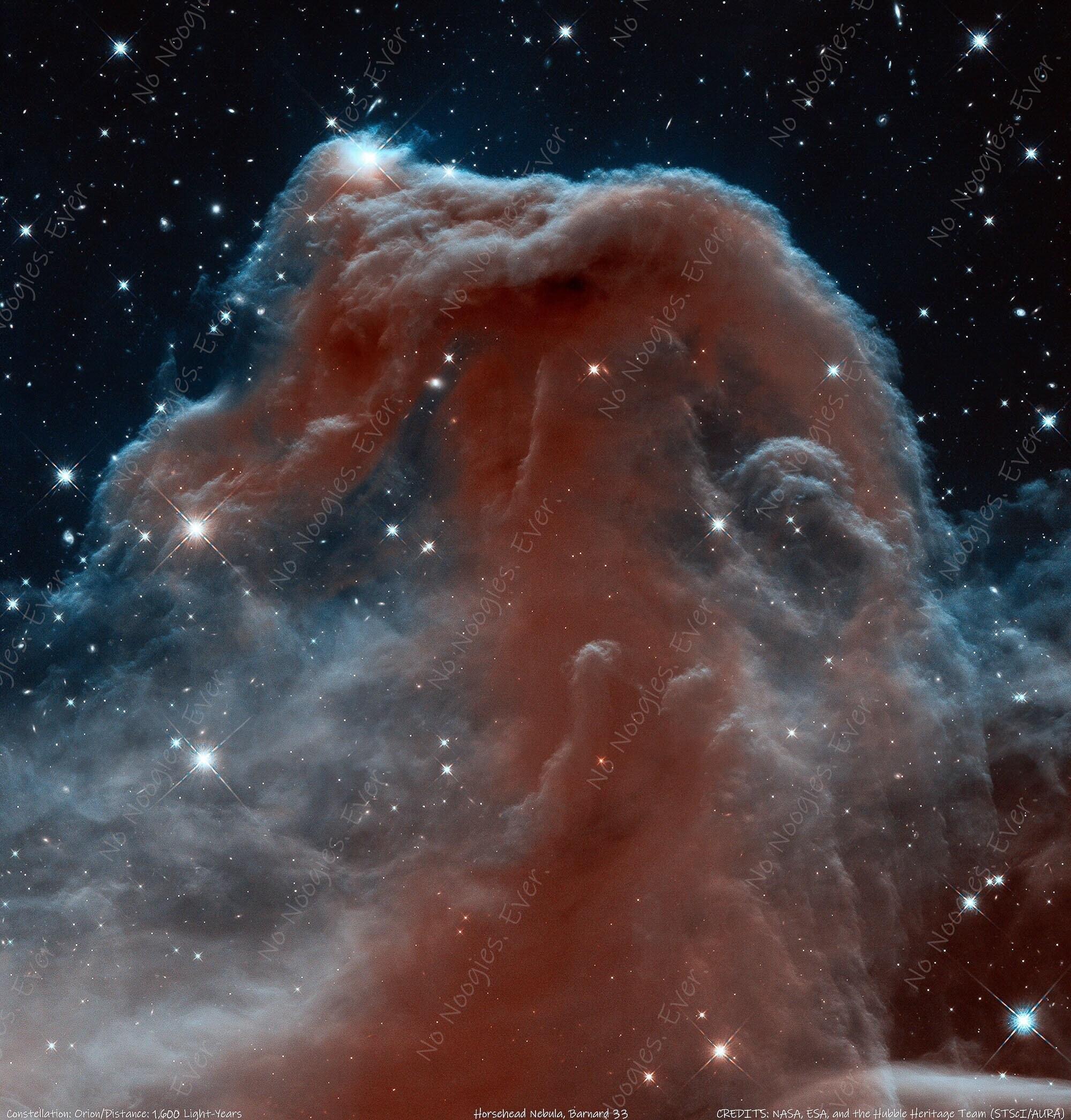 Horsehead Nebula in Orion. High Resolution Print of a Hubble ...