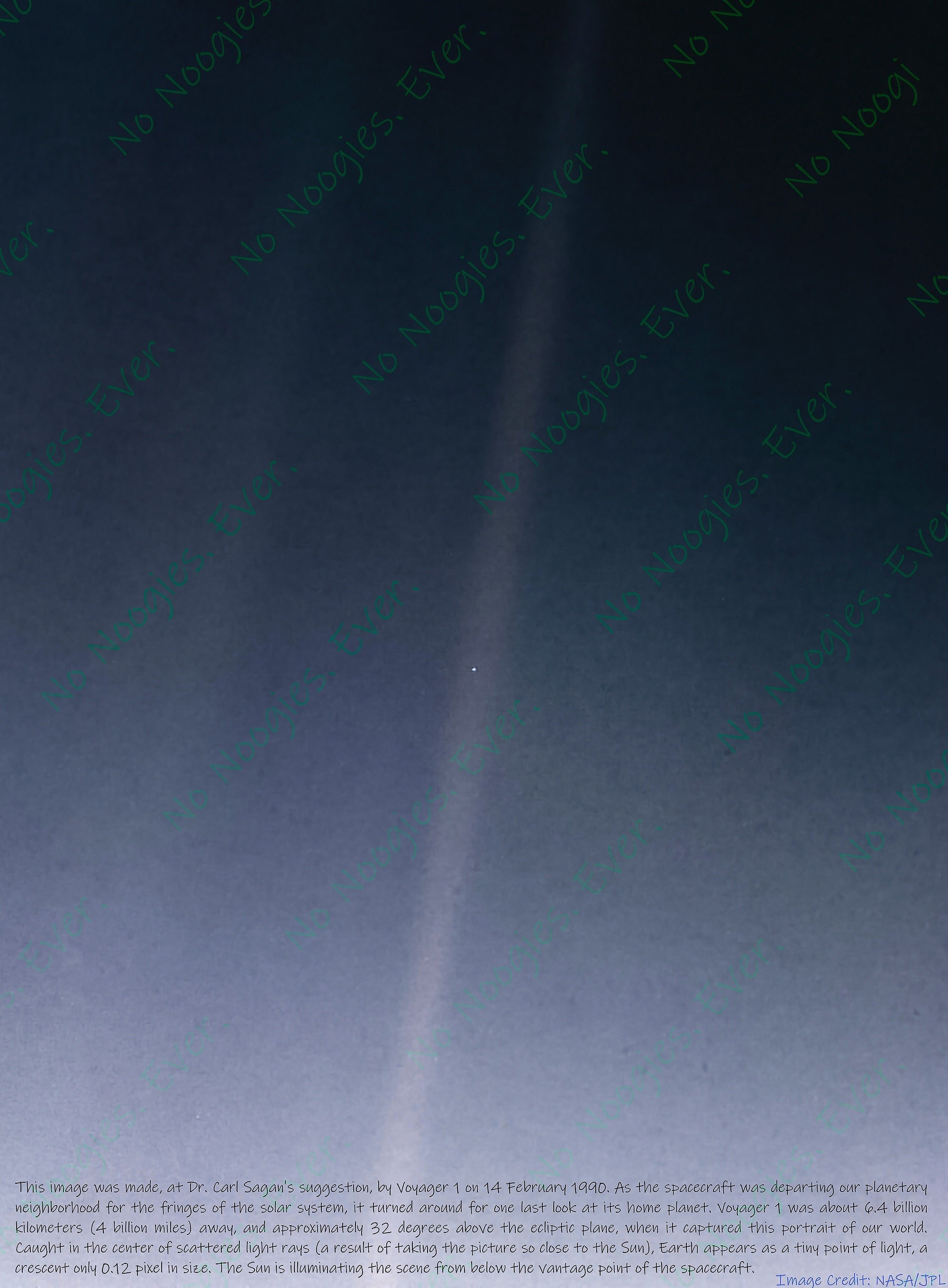 【ハードカバー】Pale Blue Dot Carl Sagan Pale Blue Dot: A Vision of the Human Future in Space: Sagan