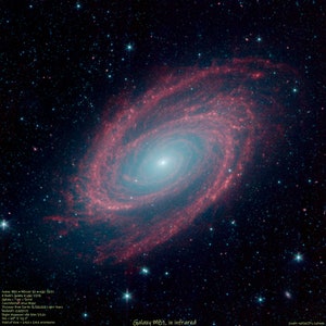 May include: A spiral galaxy, known as M81, is captured in an infrared image. The galaxy's swirling arms are visible in shades of pink and red, with a bright blue core. The image is set against a backdrop of countless stars.