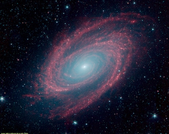 Galaxy M81 in infrared. Spectacular High Res print of a Spitzer Space Telescope image. Home/Wall decor. Wall art. Gift.