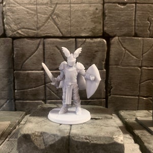 Custom Miniature Printing  for Hero Forge and Eldritch Foundry
