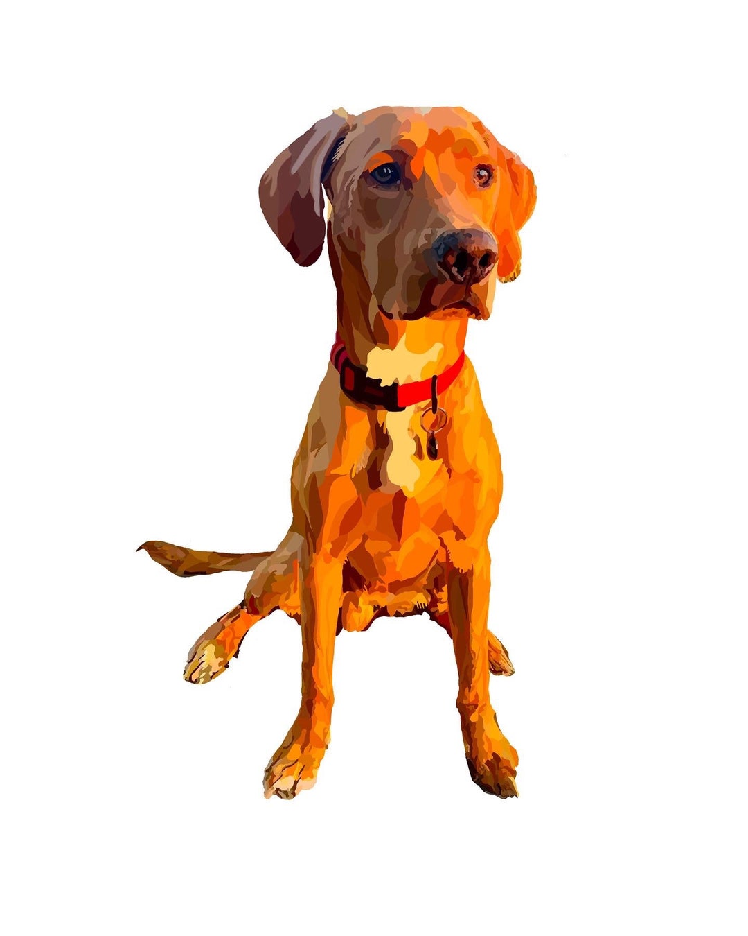 Personalised Digital Pet Portraits Etsy