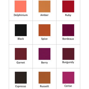 Op de afbeelding: Kleurguide met negen kleurstalen, elk met een kleurnaam gelabeld. De kleuren zijn: Delphinium, Amber, Robijn, Zwart, Kruidnagel, Bordeaux, Granaat, Bes, Bourgondi&euml;, Espresso, Roodbruin en Kersen.
