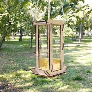 Hanging bird feeder DIY. Backyard decoration for bird watching.