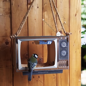 Bird TV Feeder: Unique Hanging Bird Feeder with Large Seed Hopper, Garden Decor