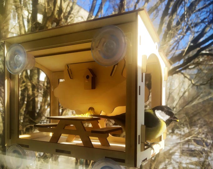 Plywood Window Bird Feeder: Suction Cup Mounted, Easy Assembly