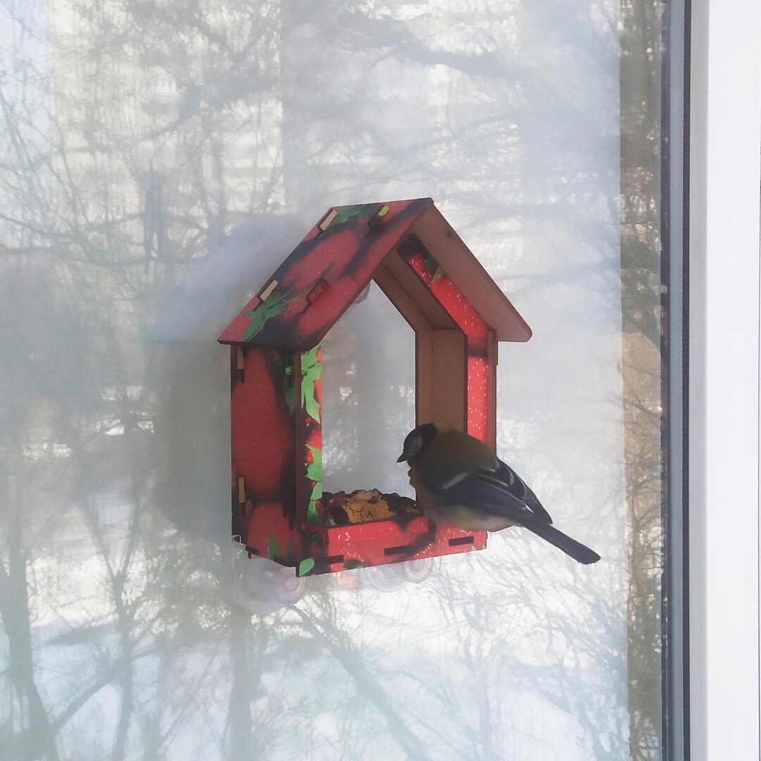 Curated visual reference: Visual Reference: Window Bird Feeder Bird Watching From The Comfort Of Your