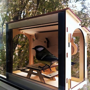 Bird feeder on a window. Plywood bird feeder kit.  Bird feeders for the outdoors.