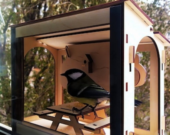 Bird feeder on a window. Plywood bird feeder kit.  Bird feeders for the outdoors.